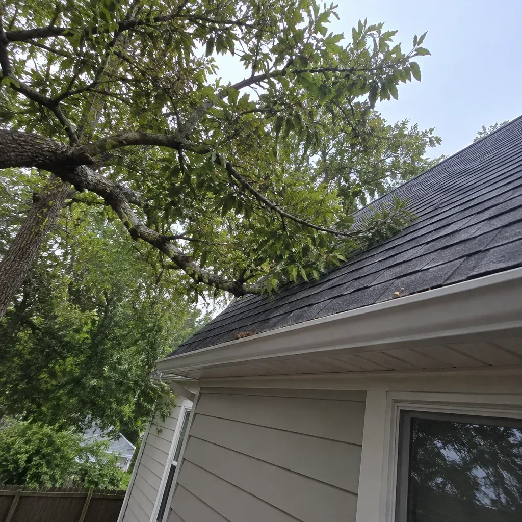 Dearborn Shed Rodent Control in Fall
